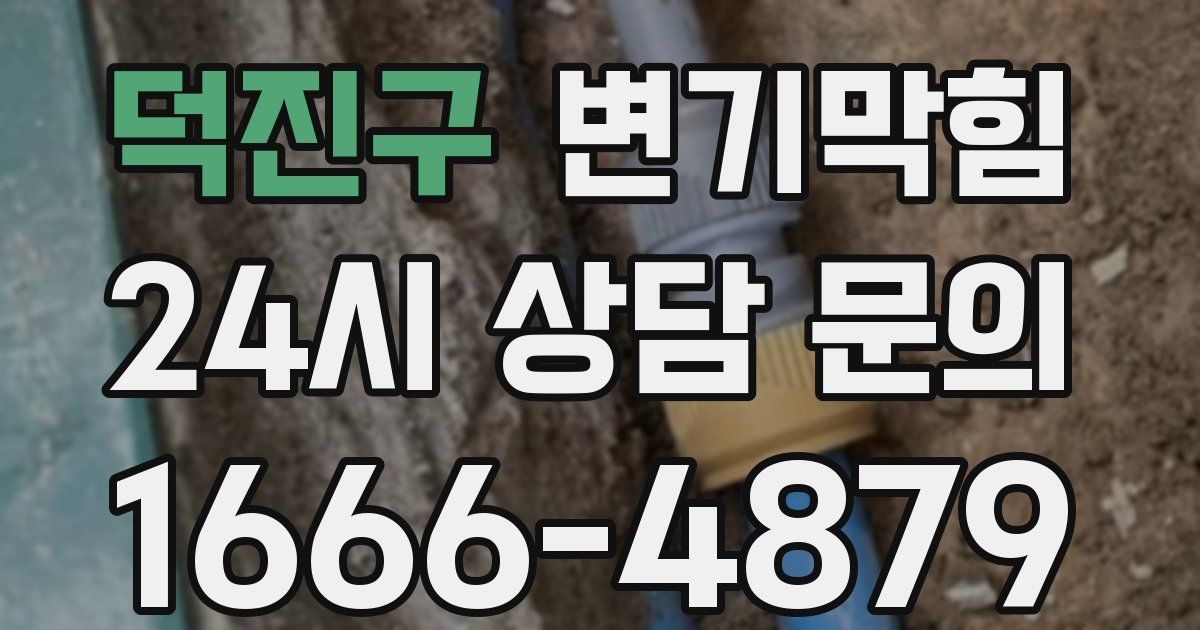 덕진구 변기