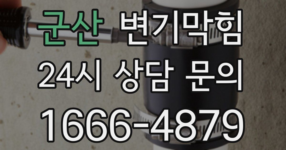 군산 변기