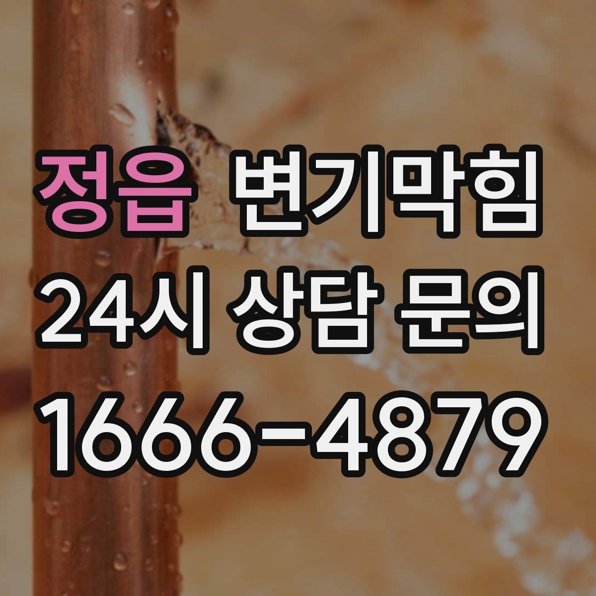 정읍 변기막힘 변기뚫는비용 지역 차이 비교 포인트