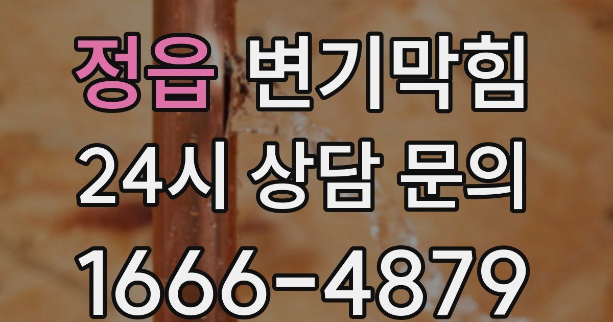 정읍 변기