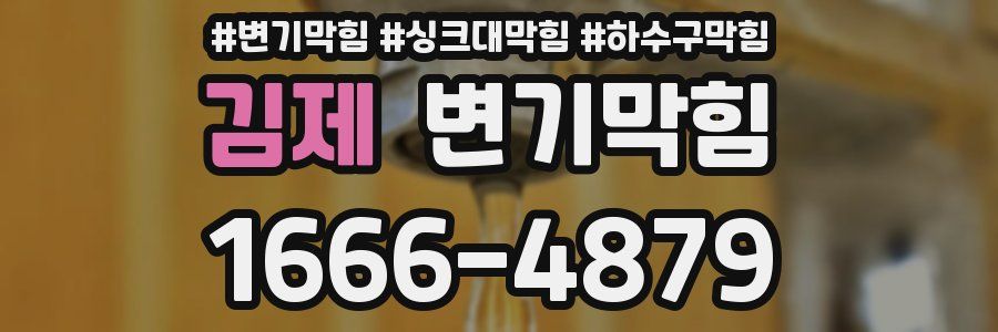 변기막힘