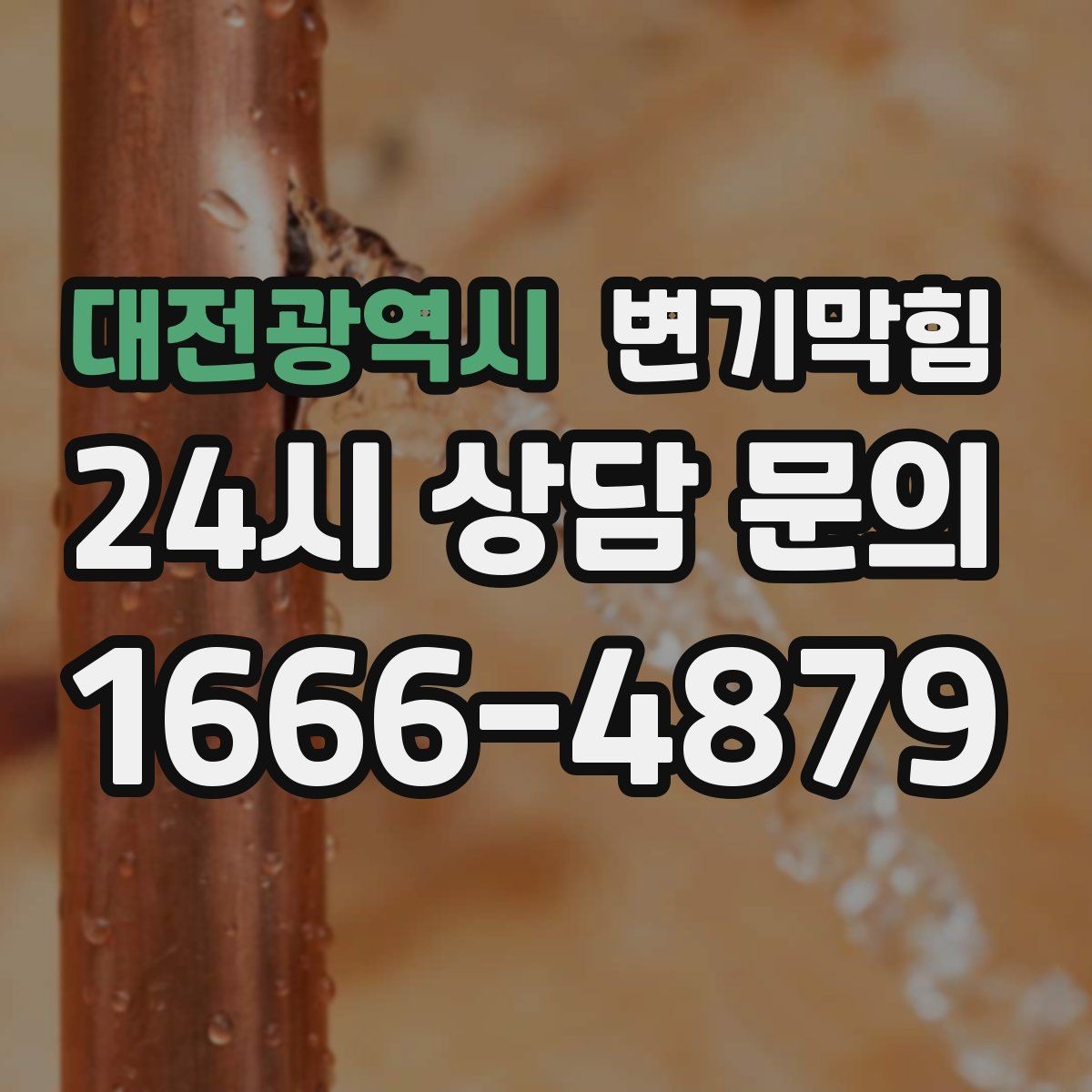 대전광역시 변기막힘 아파트 배수구막힘 입주 전 점검 효과