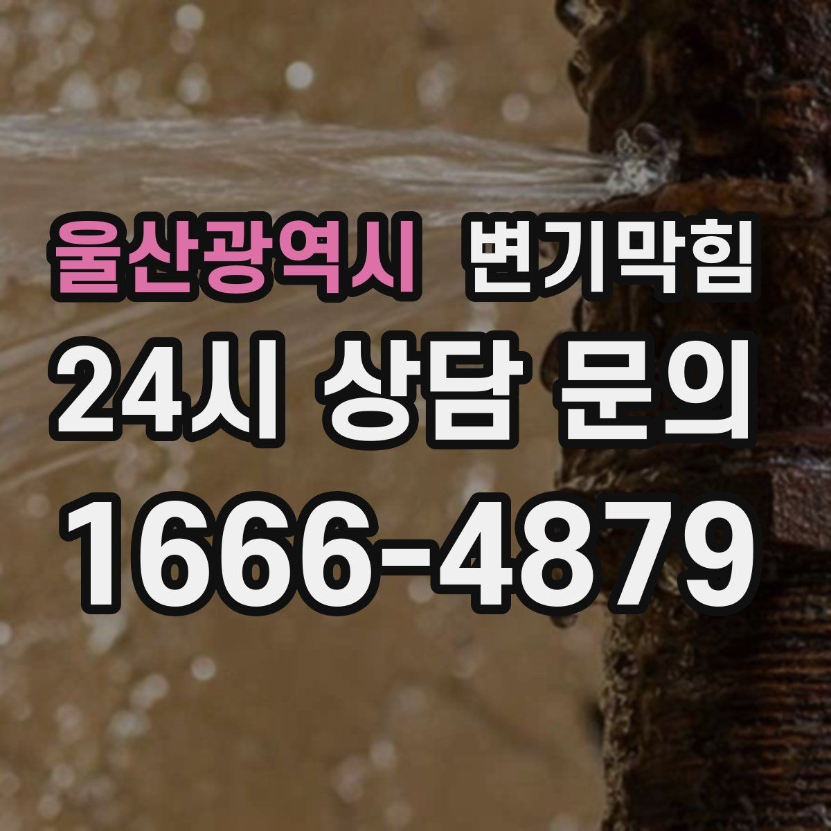 울산광역시 변기막힘 뚫어뻥 사용 전후 차이 기록하기