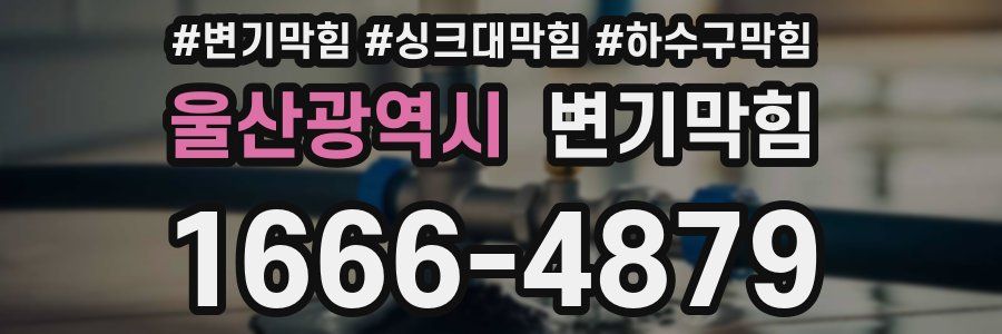 변기막힘