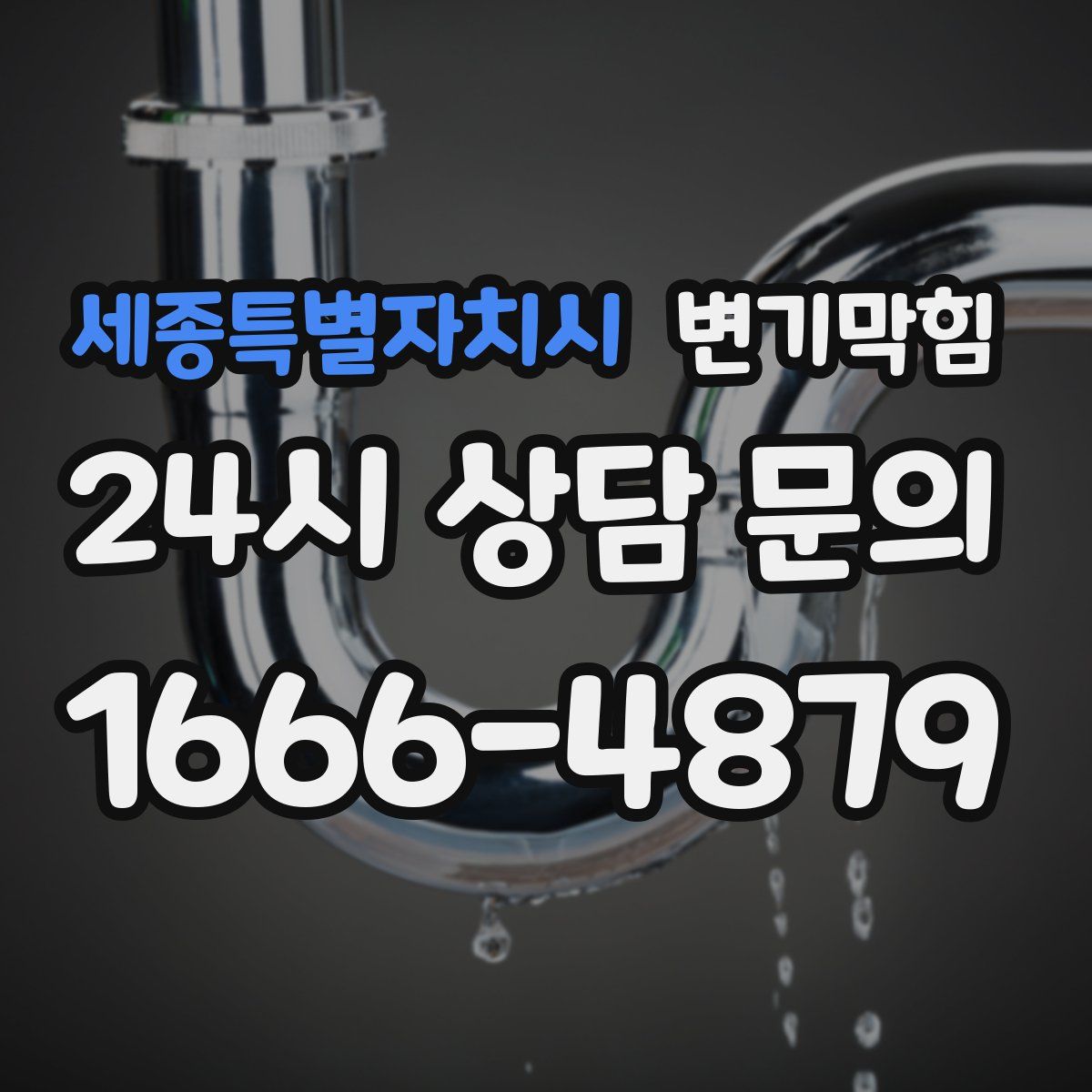 세종특별자치시 변기막힘