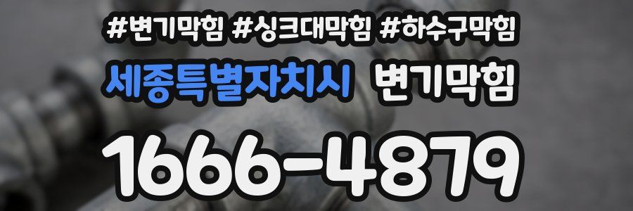 변기막힘