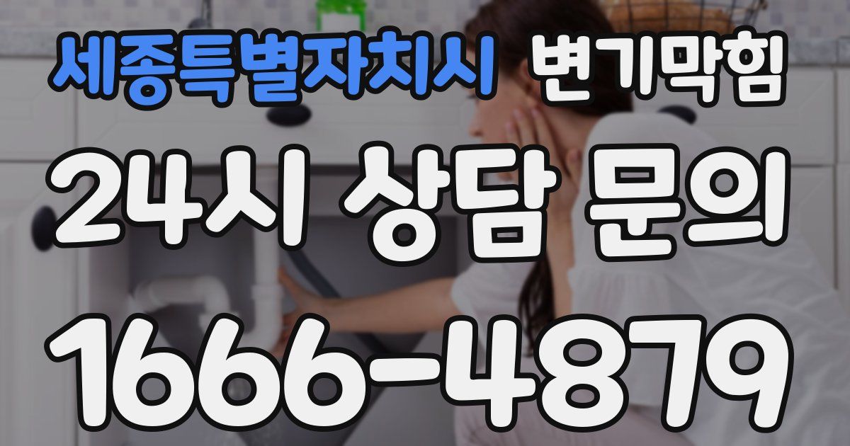 세종특별자치시 변기