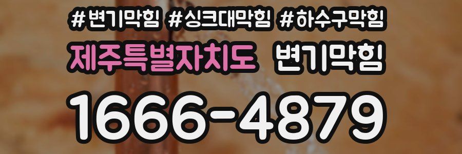 변기막힘