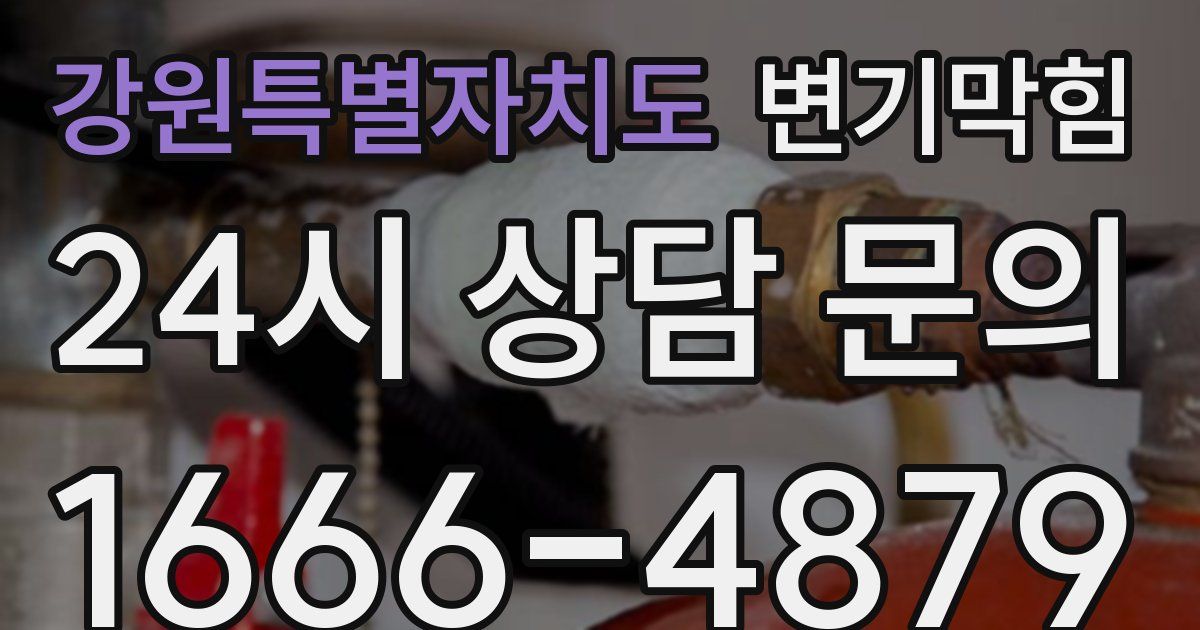 강원특별자치도 변기
