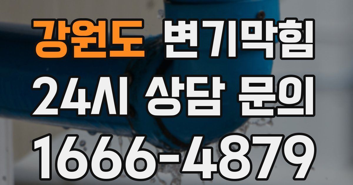 강원도 변기