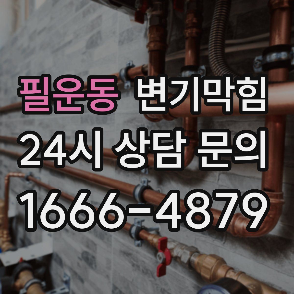 필운동 변기막힘