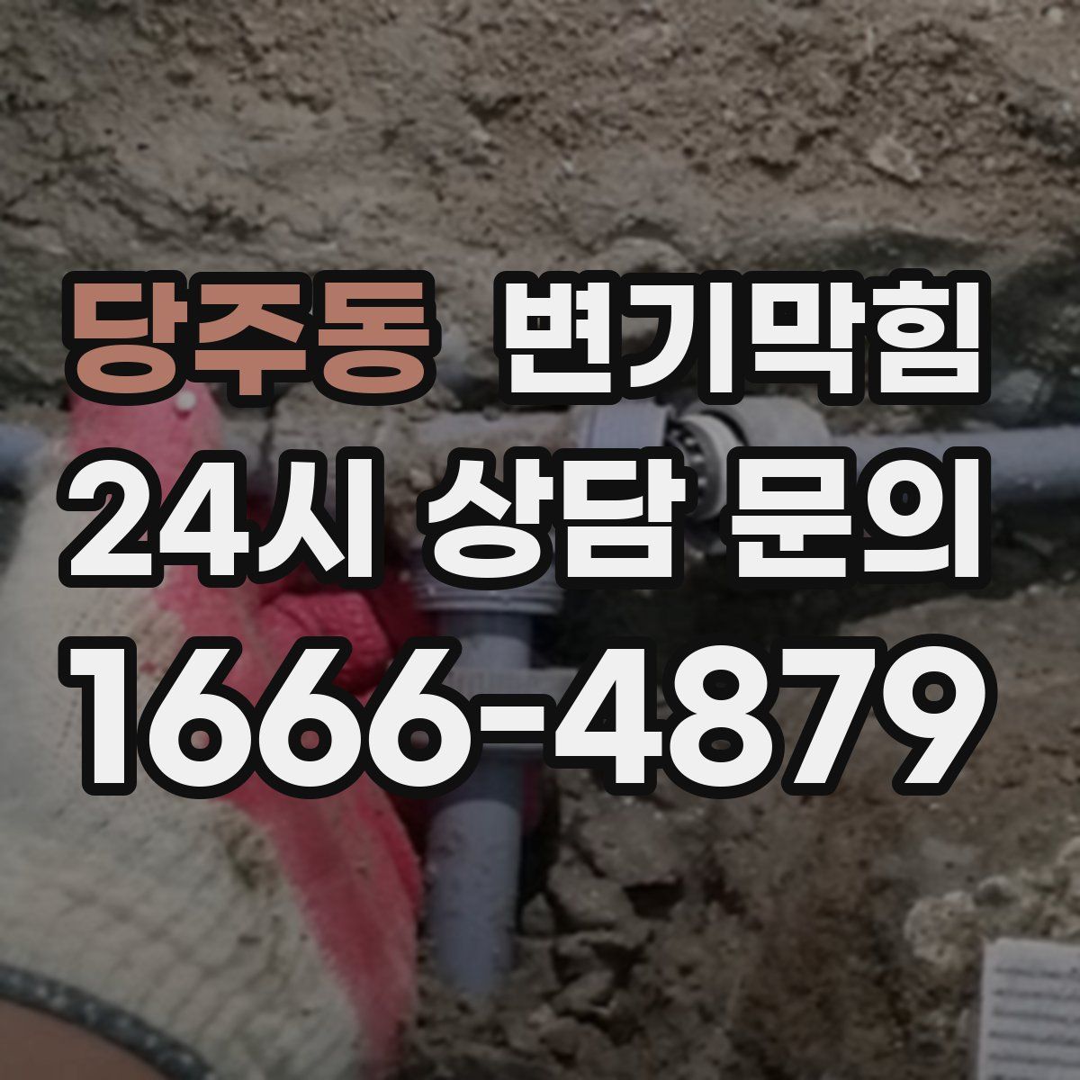 당주동 변기막힘