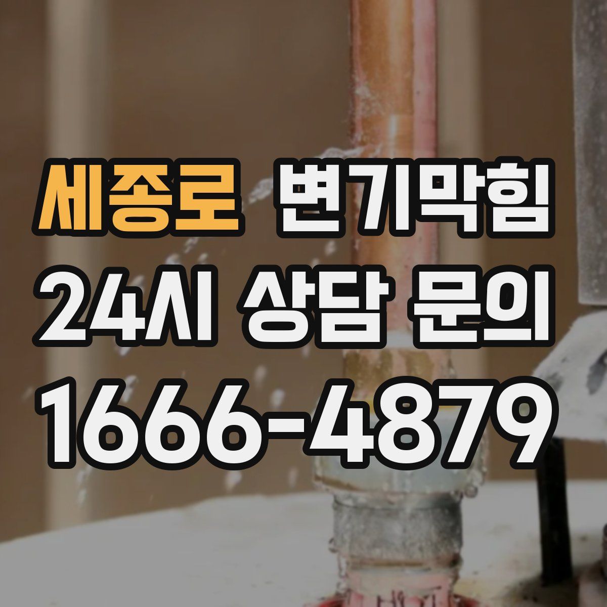 세종로 변기막힘