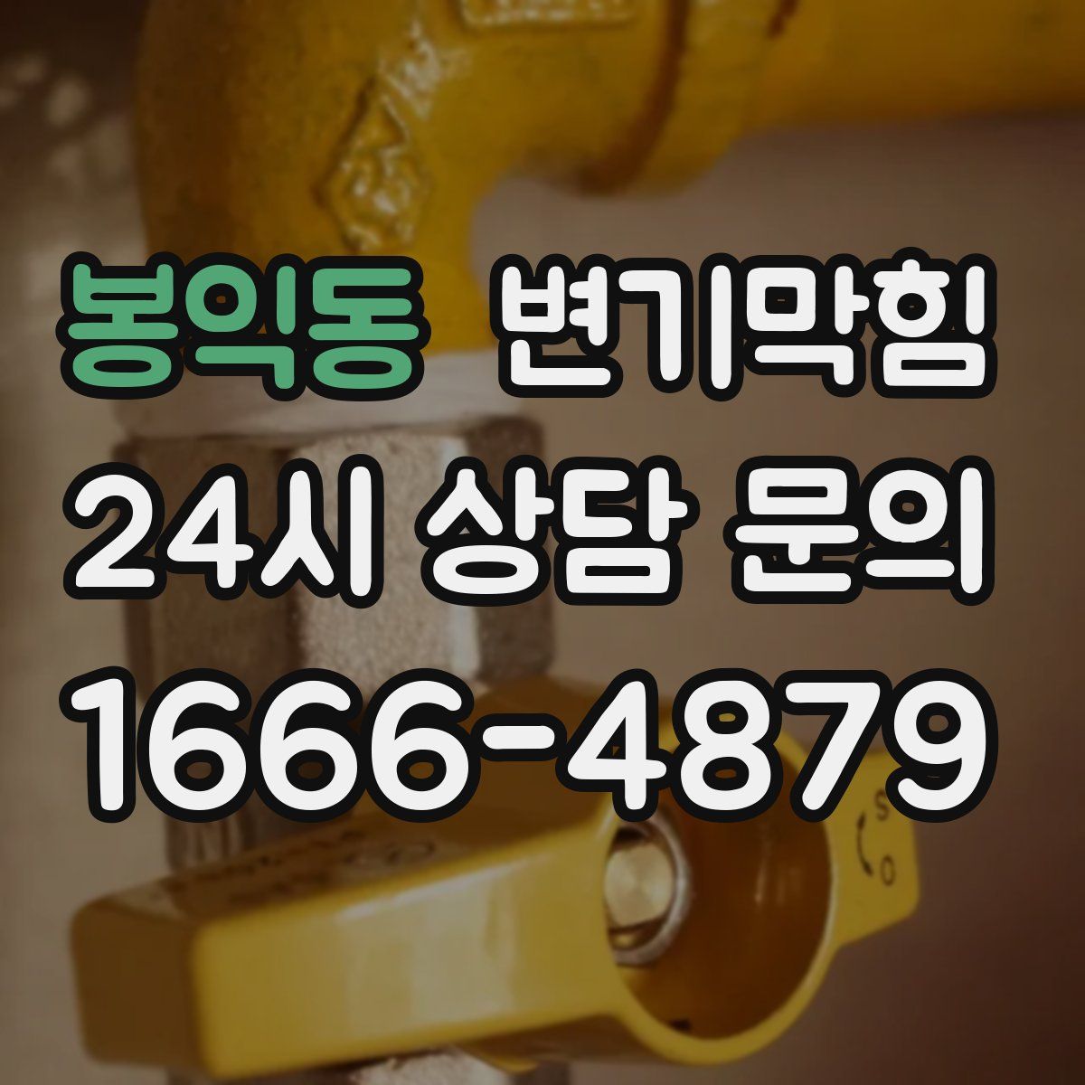 봉익동 변기막힘