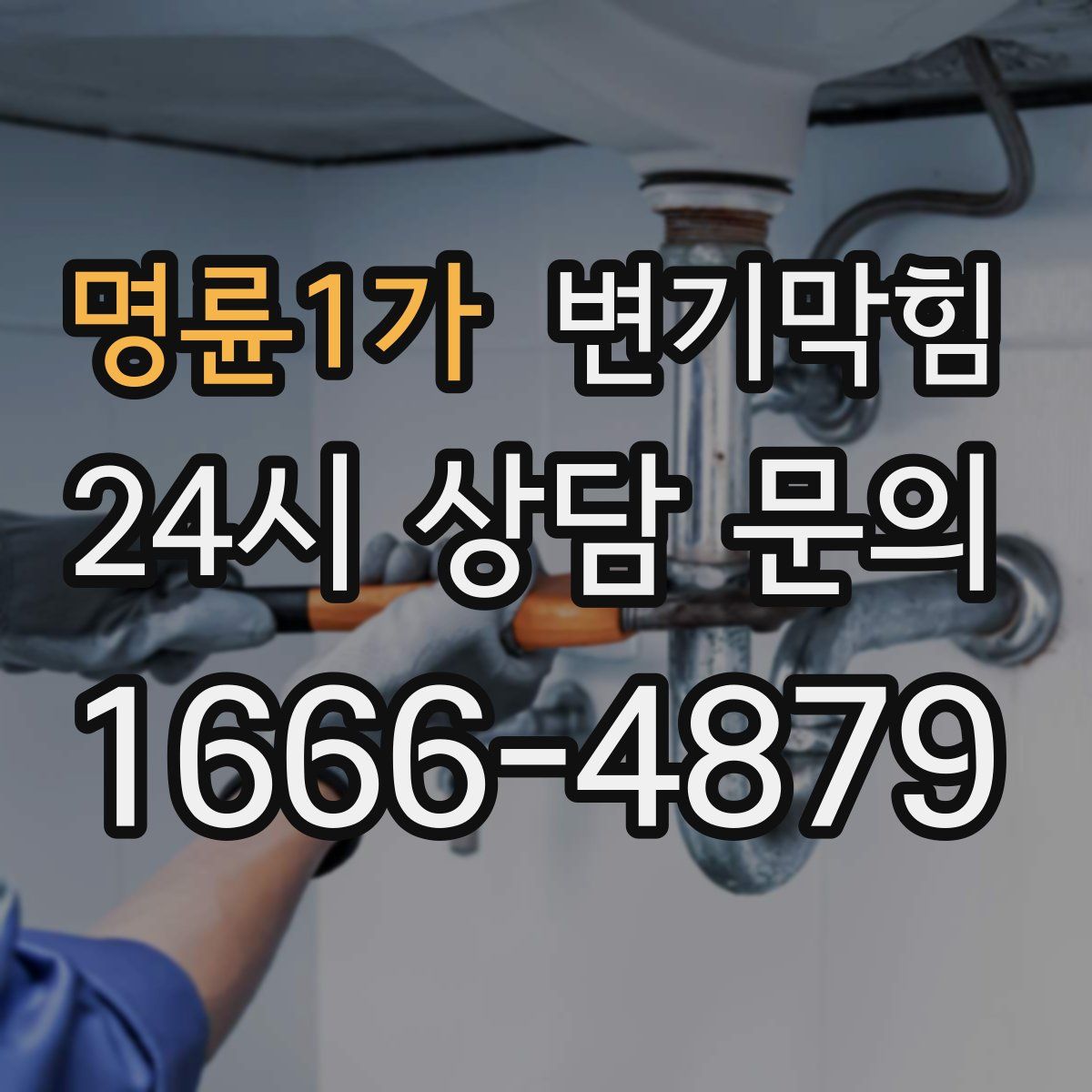 명륜1가 변기막힘