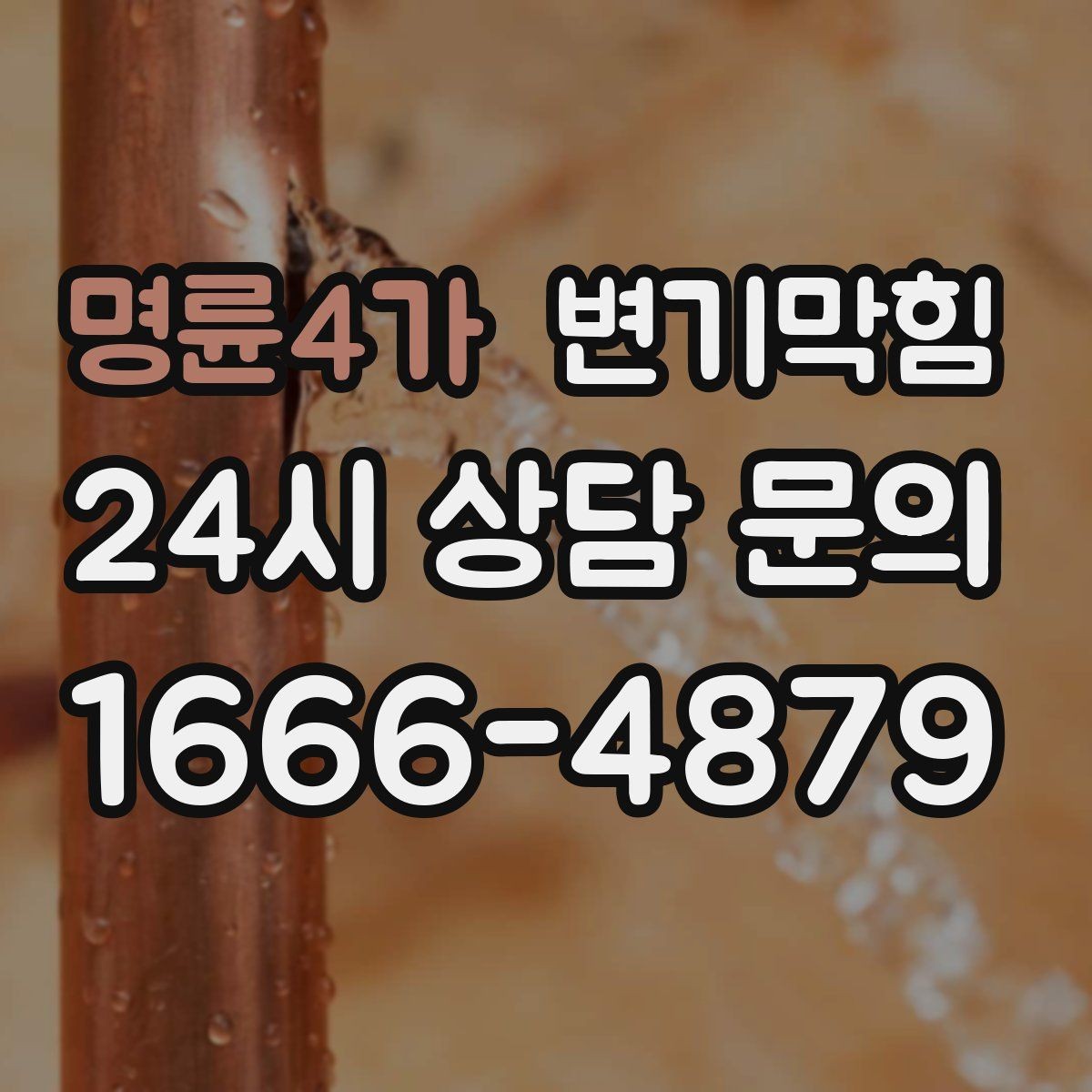 명륜4가 변기막힘 빌라 배수구막힘 장마 전 미리 복구
