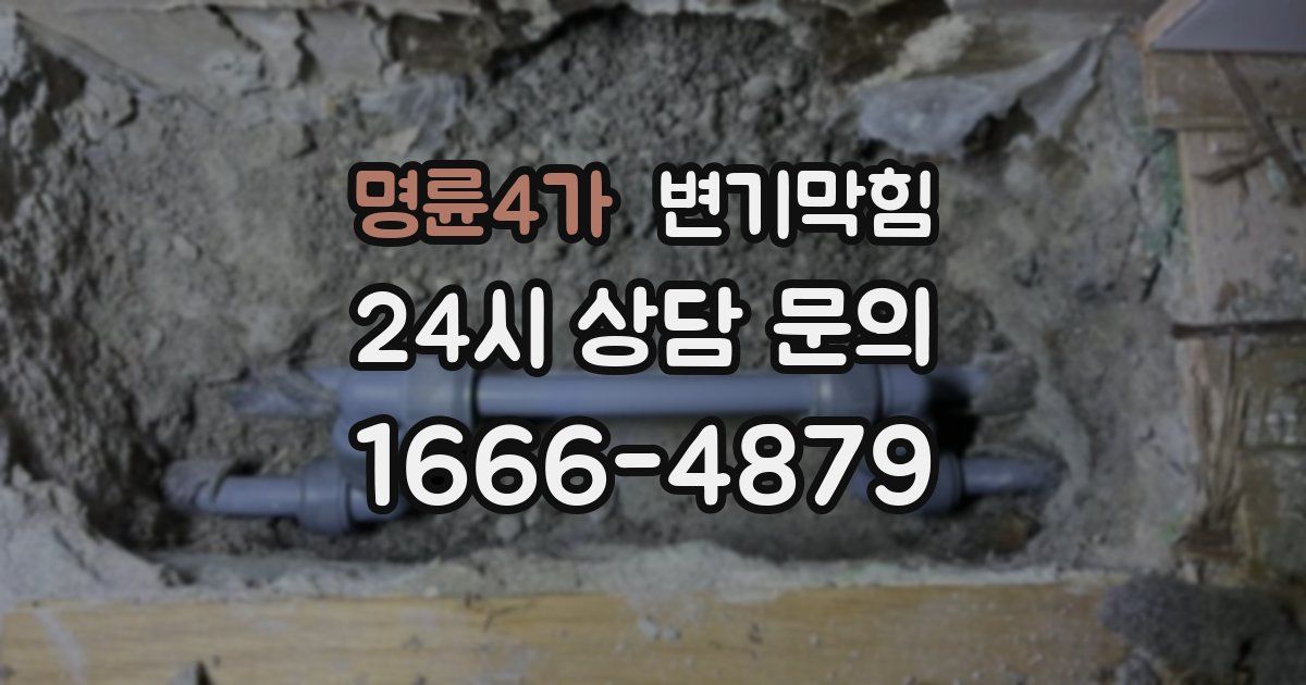 명륜4가 변기