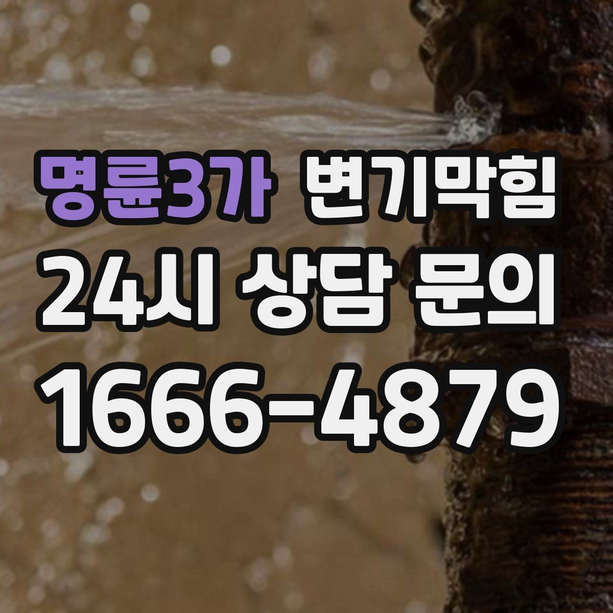 명륜3가 변기막힘 단독 주택 변기뚫는방법 적용 사례