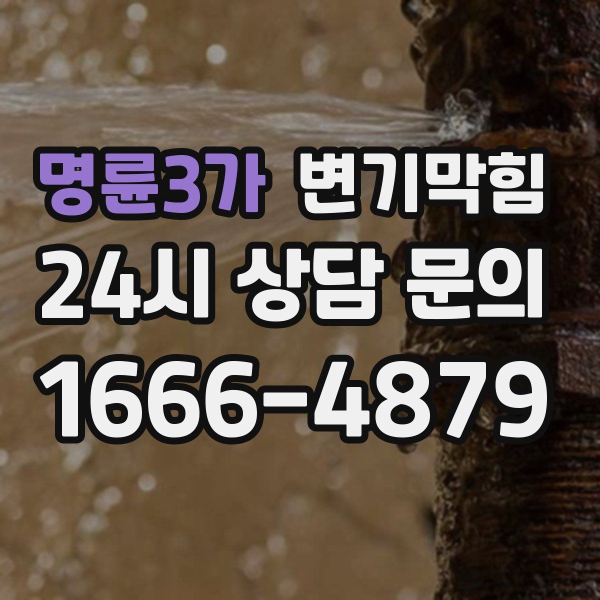 명륜3가 변기막힘