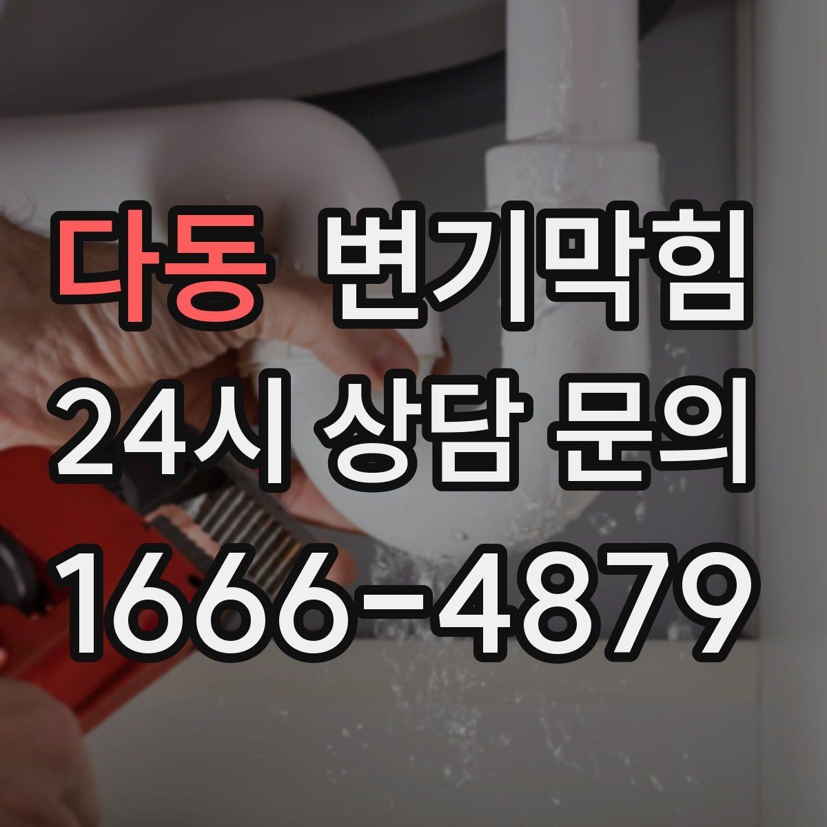 다동 변기막힘 단독 사진 리포트·영수증 동시 제공