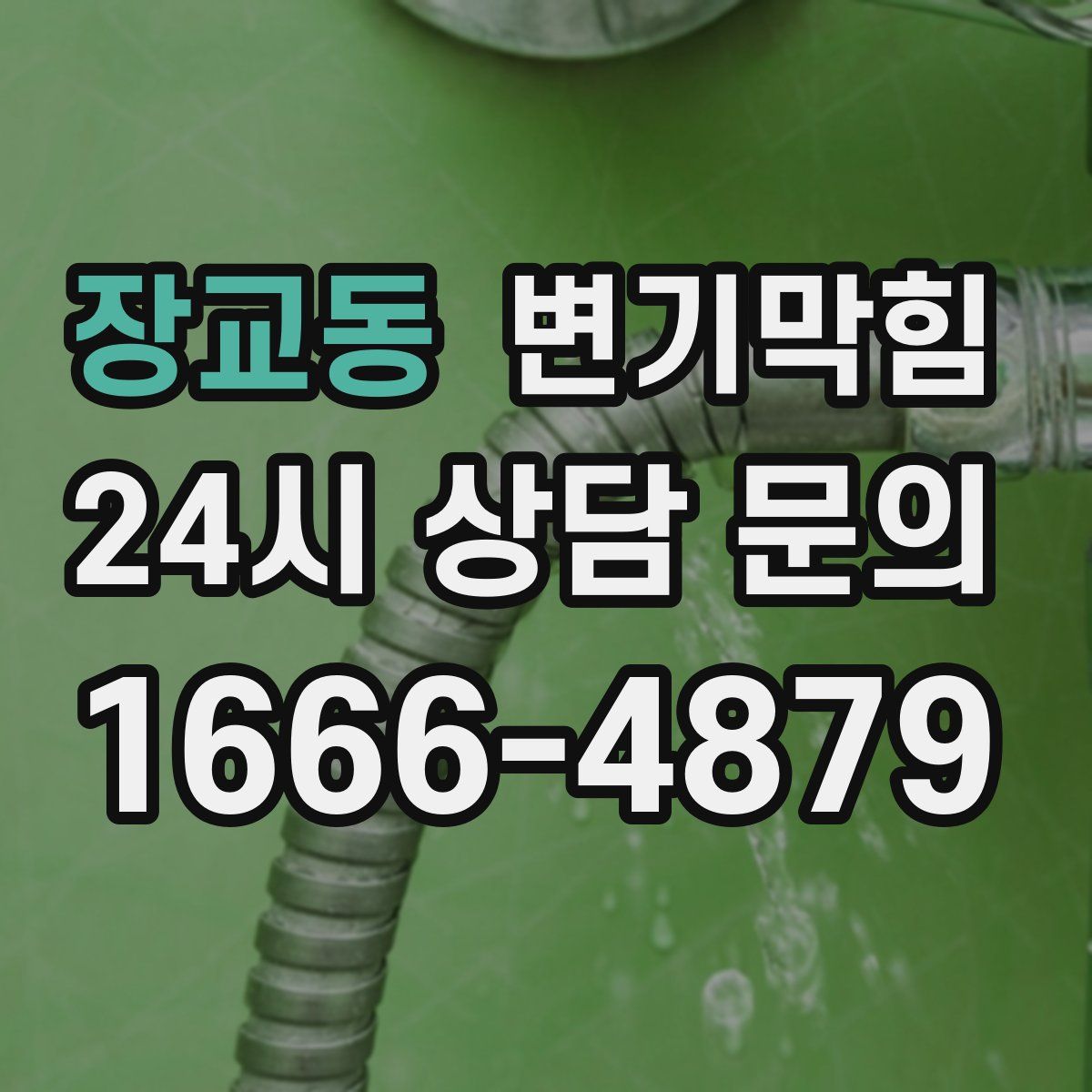 장교동 변기막힘