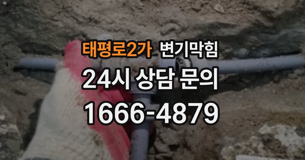 태평로2가 변기