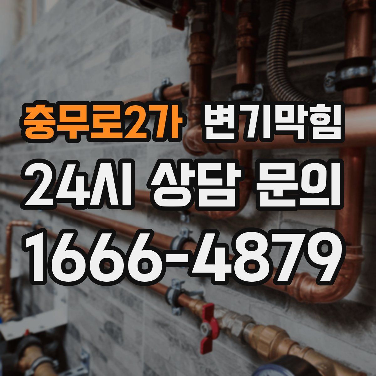 충무로2가 변기막힘