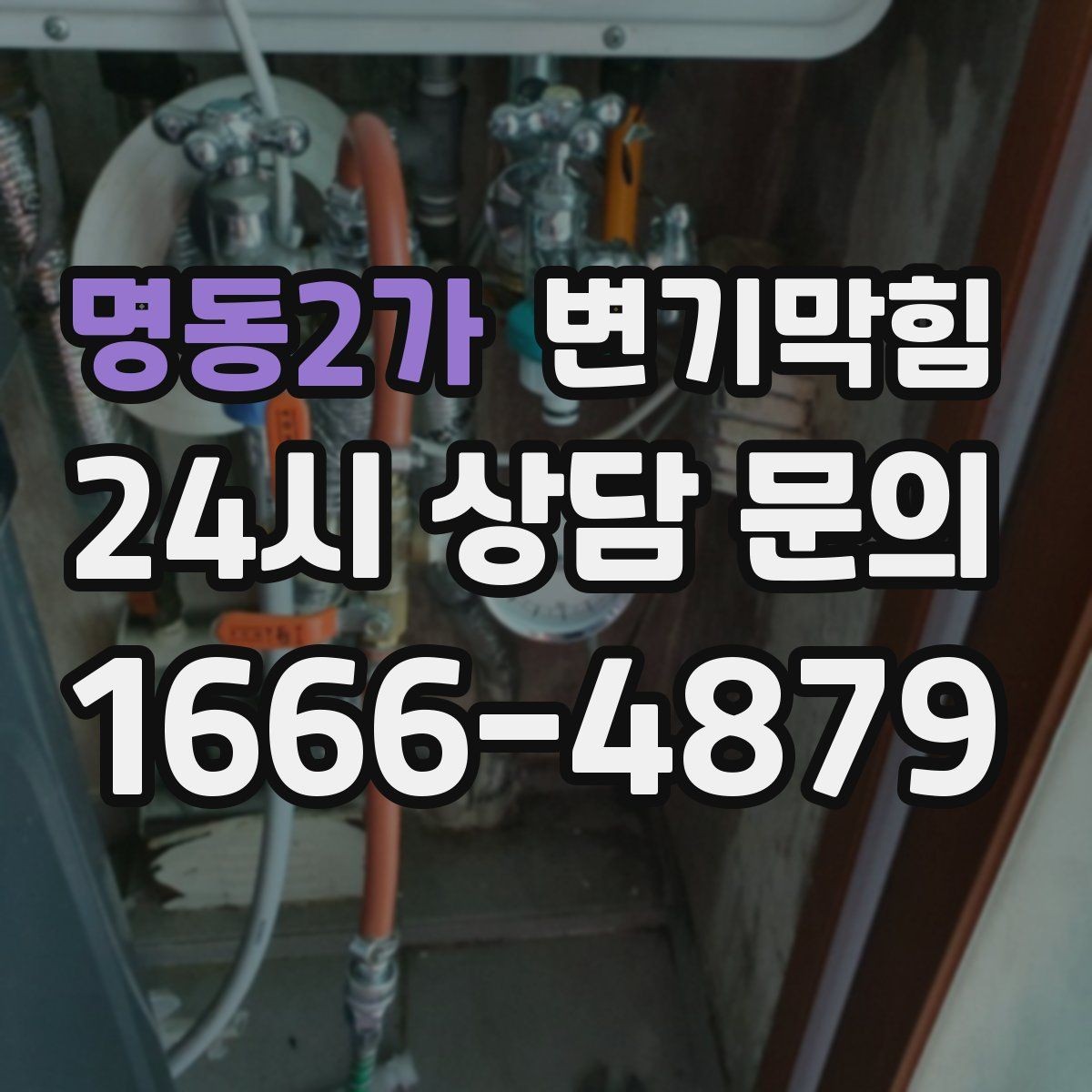 명동2가 변기막힘 식당 화장실역류 합류부 동시 세척