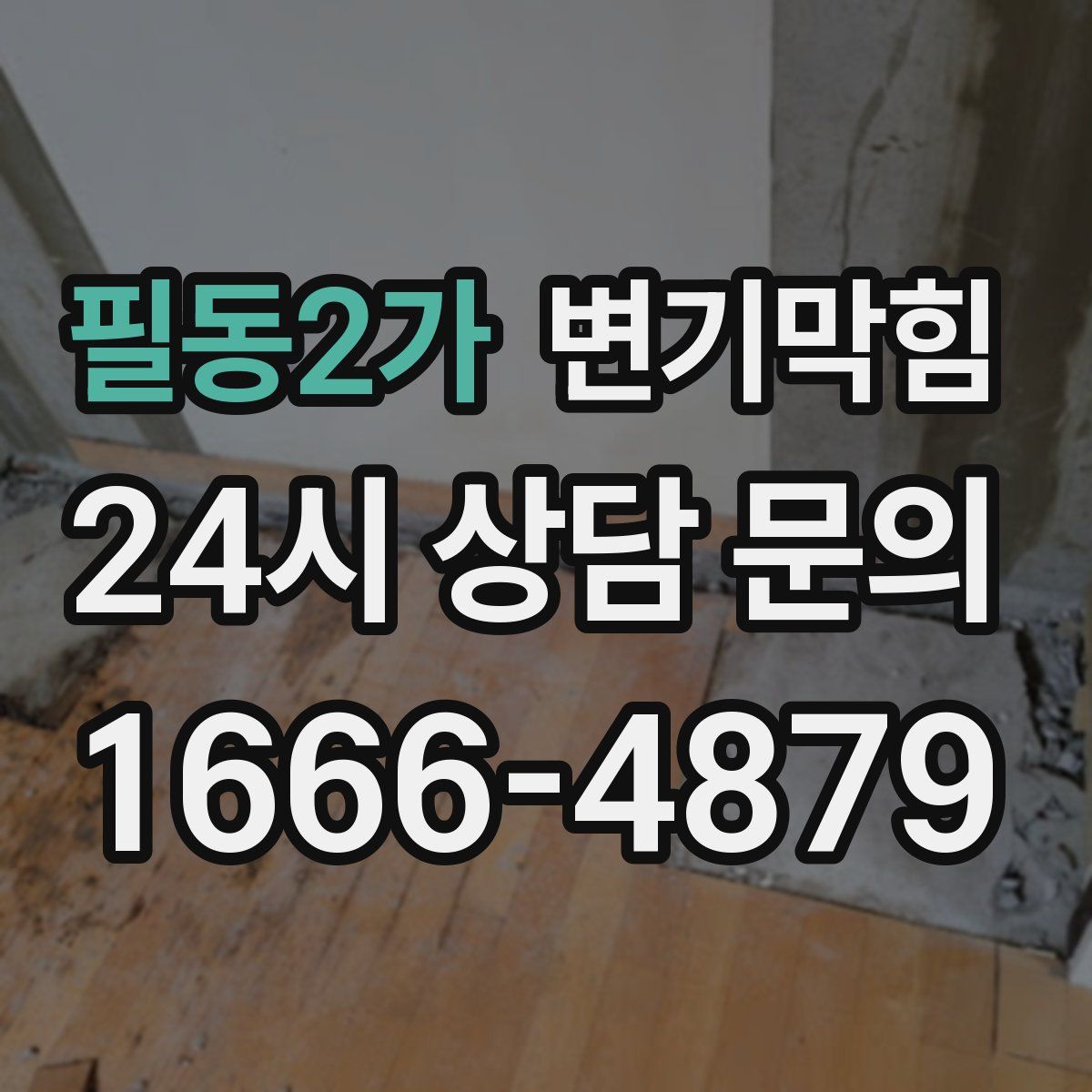 필동2가 변기막힘