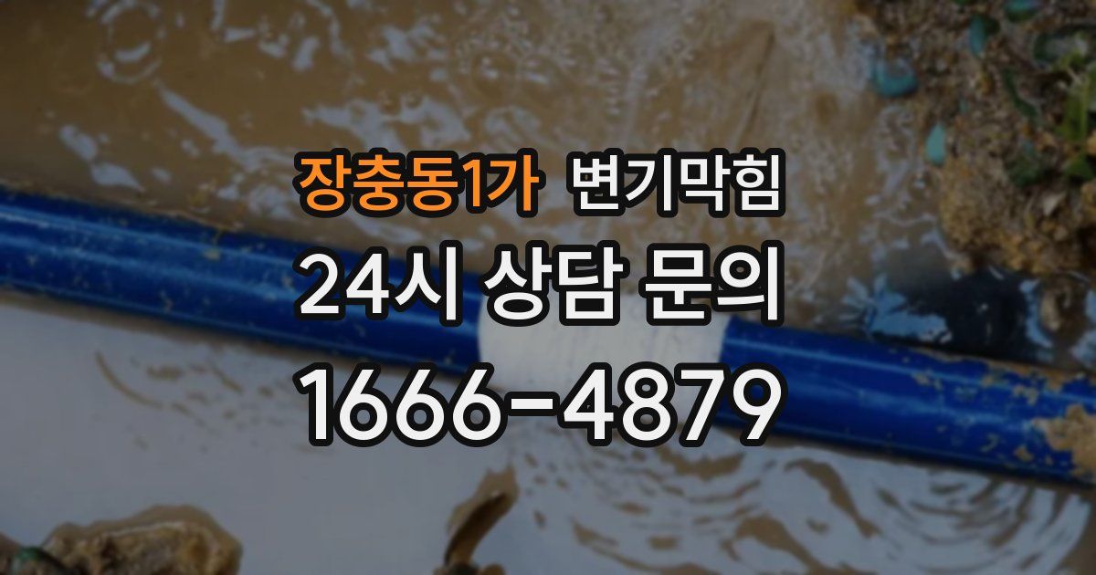 장충동1가 변기