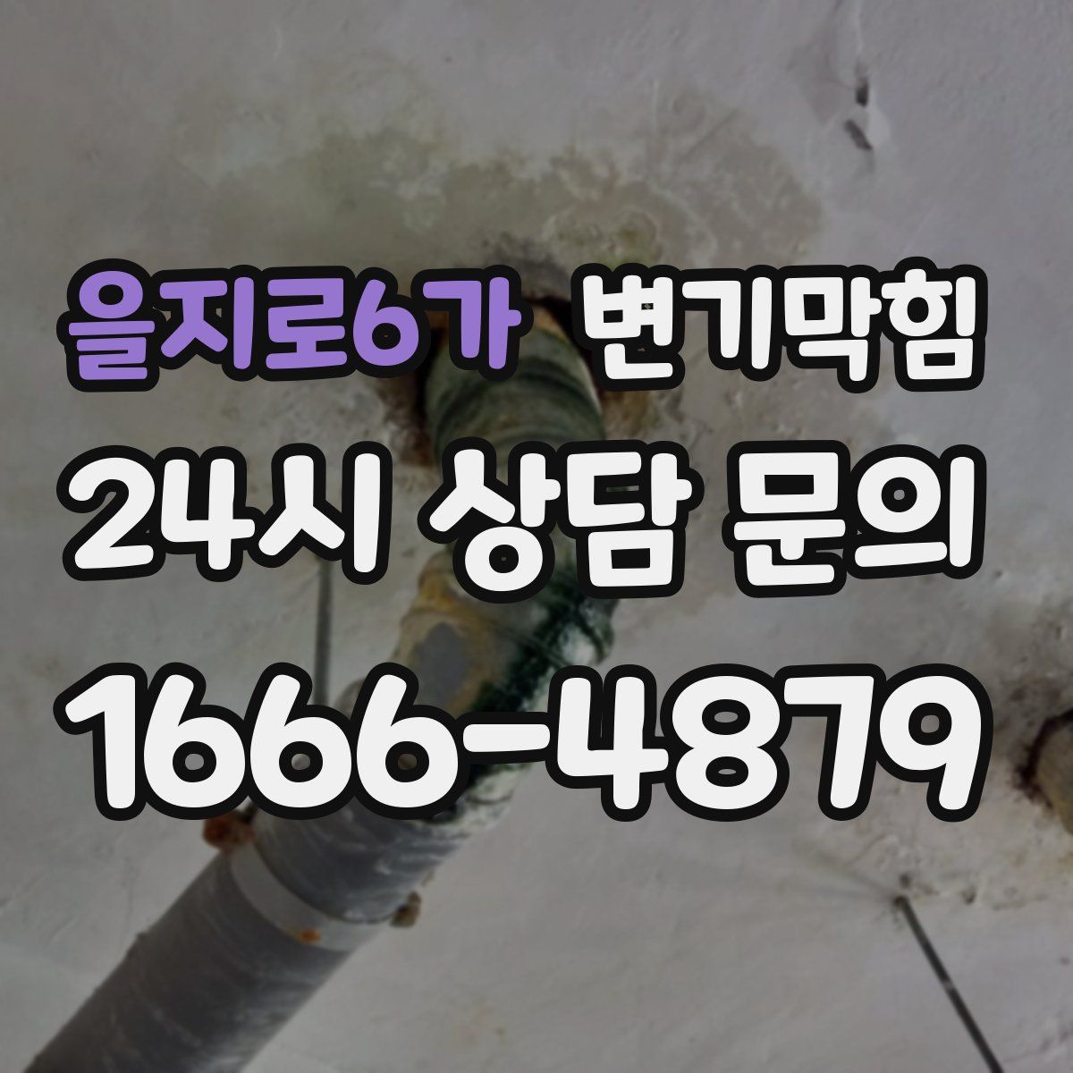 을지로6가 변기막힘