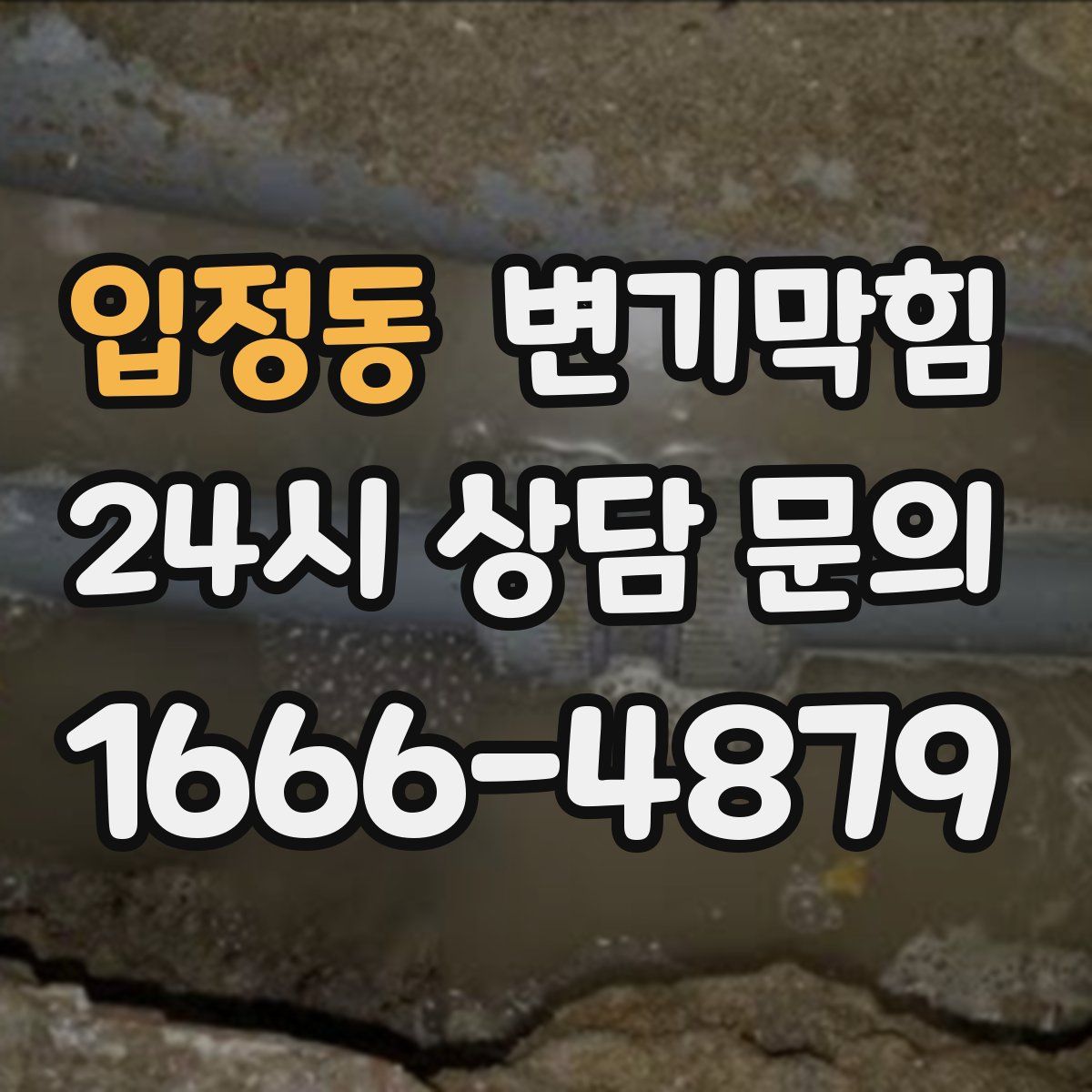 입정동 변기막힘