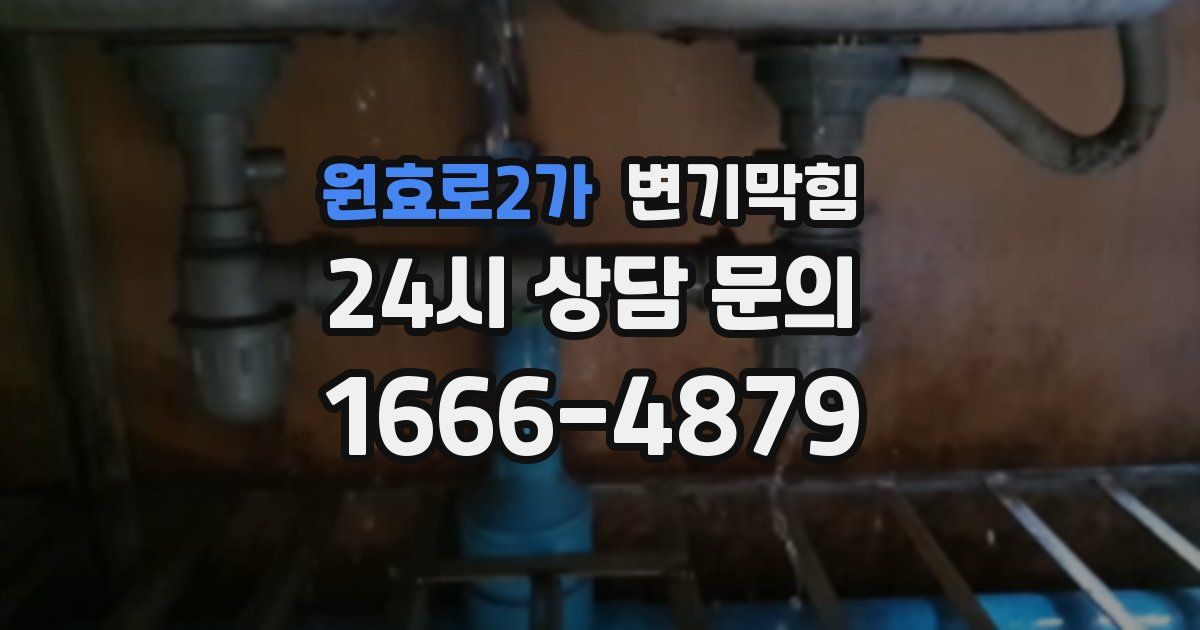 원효로2가 변기