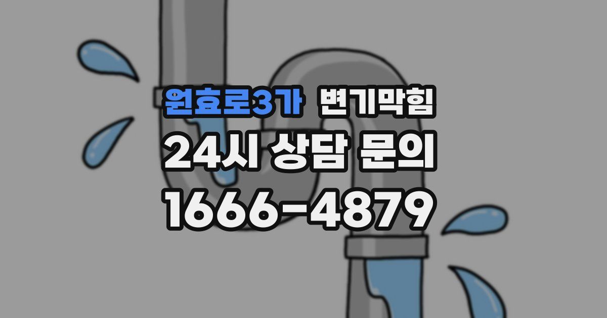 원효로3가 변기