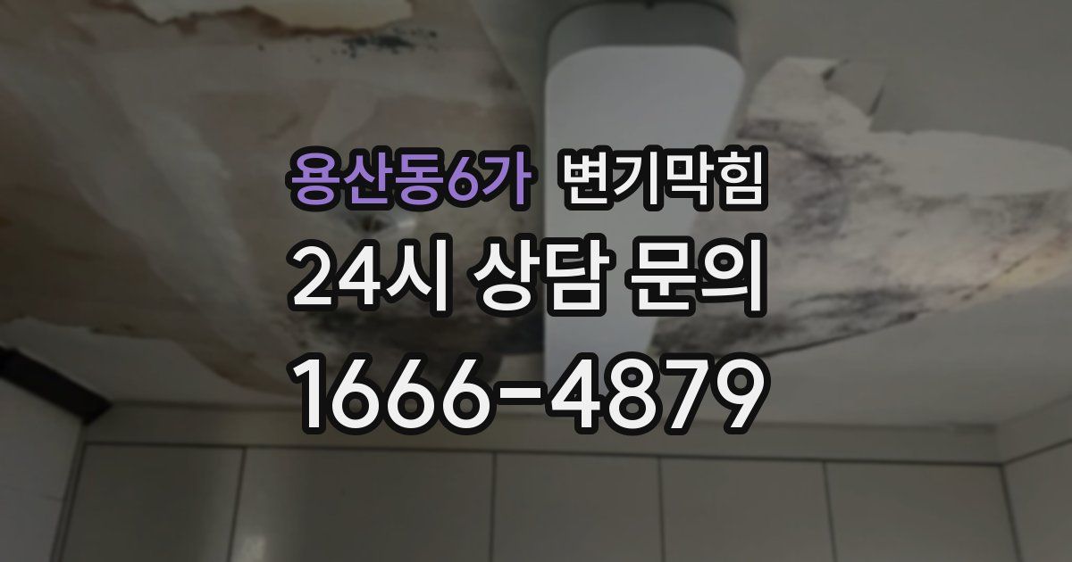 용산동6가 변기