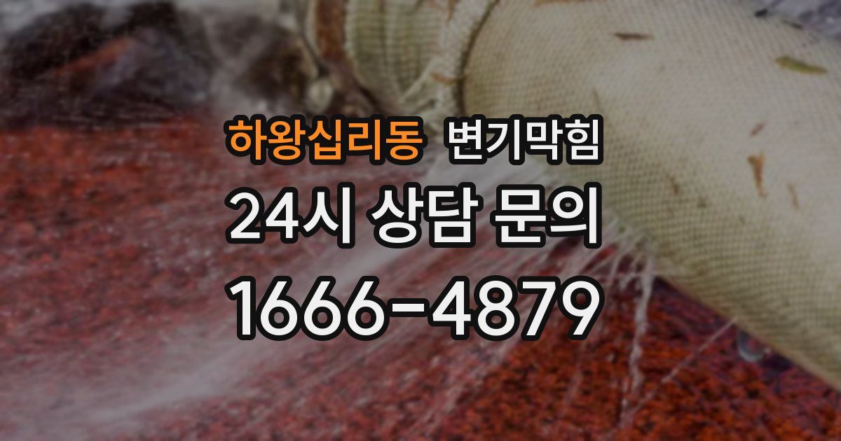 하왕십리동 변기