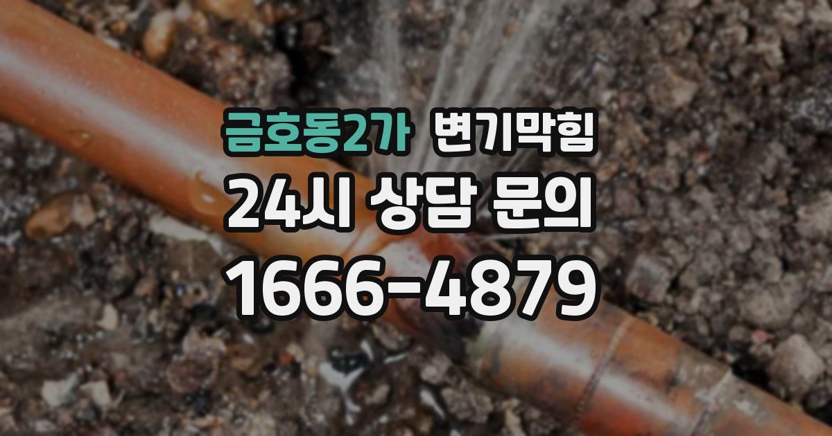 금호동2가 변기