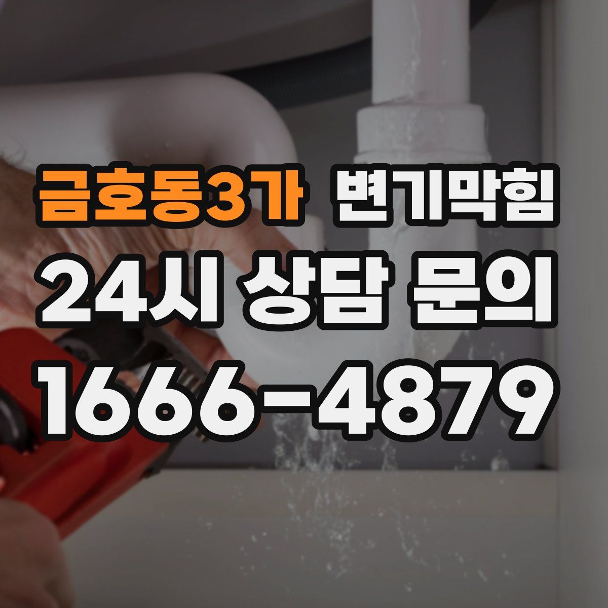 금호동3가 변기막힘