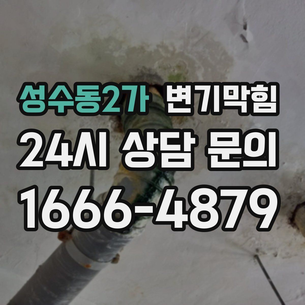 성수동2가 변기막힘 미용실 변기뚫기 헤어 잔사 무잔여 마감
