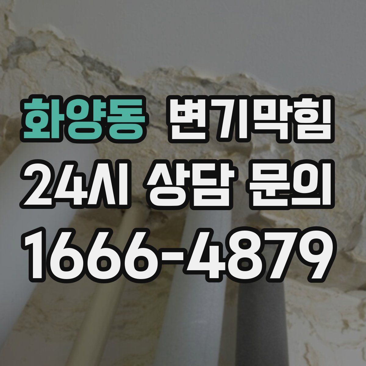 화양동 변기막힘