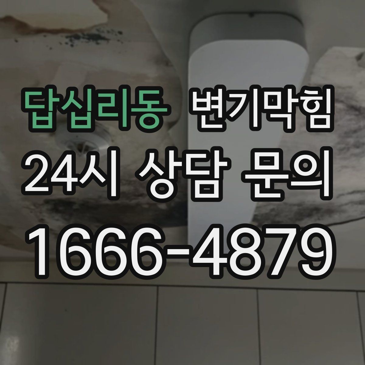 답십리동 변기막힘 화장실 변기 막힘 휴가 전 예방 루틴