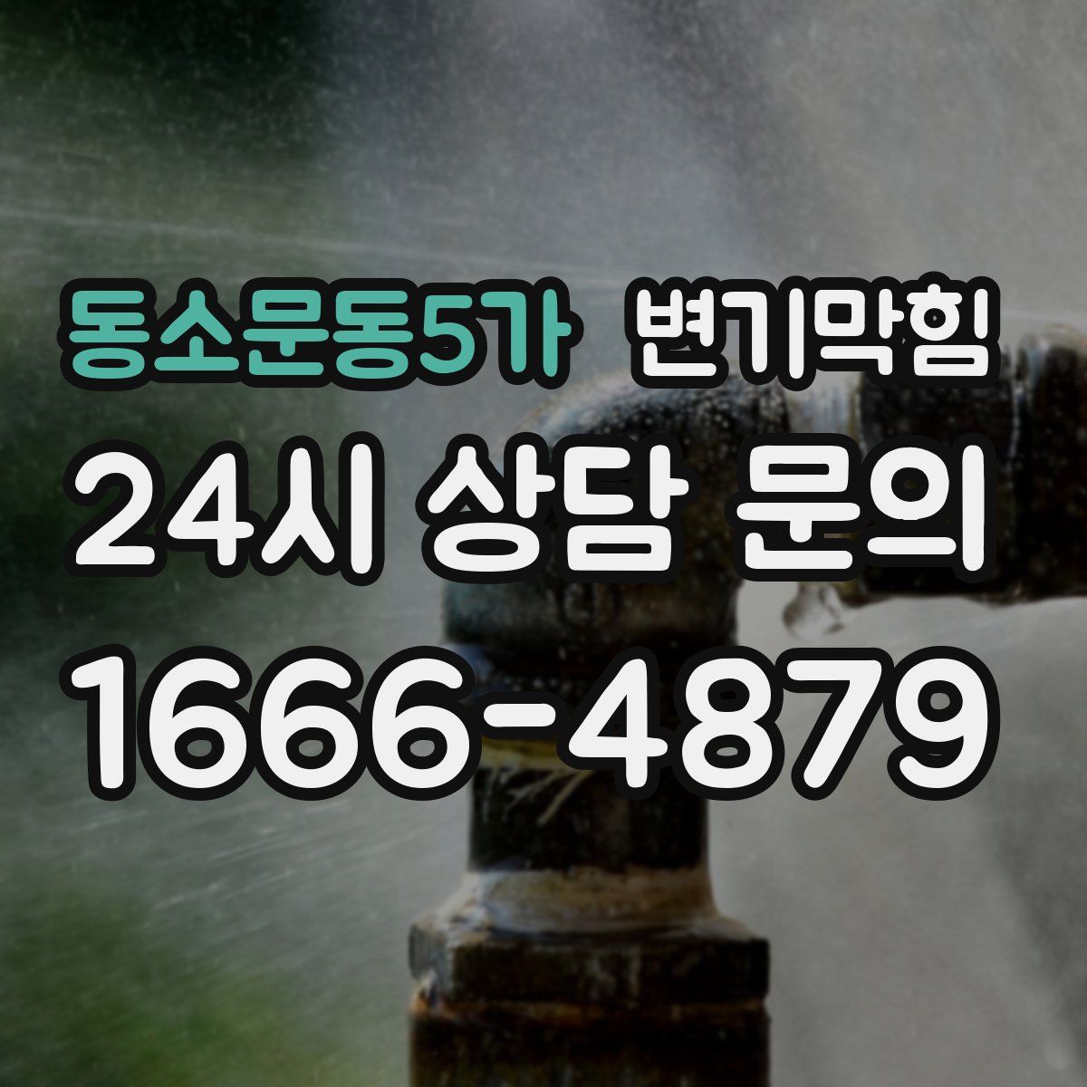 동소문동5가 변기막힘