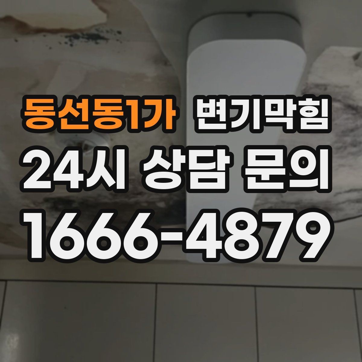 동선동1가 변기막힘 다가구 사진·수치 리포트 제공