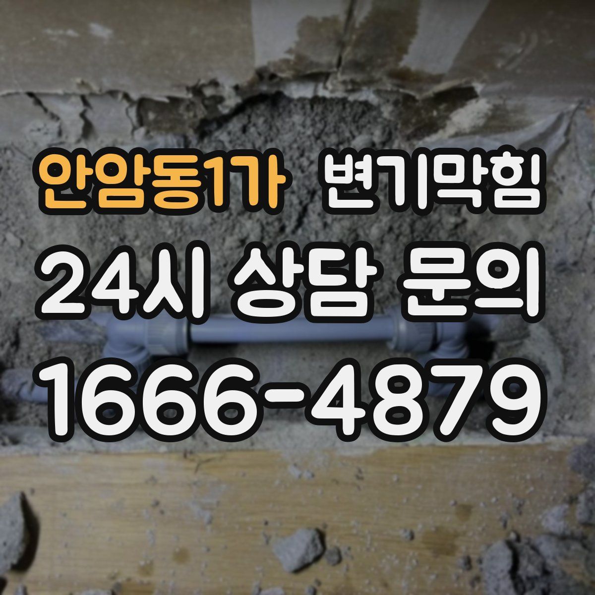 안암동1가 변기막힘