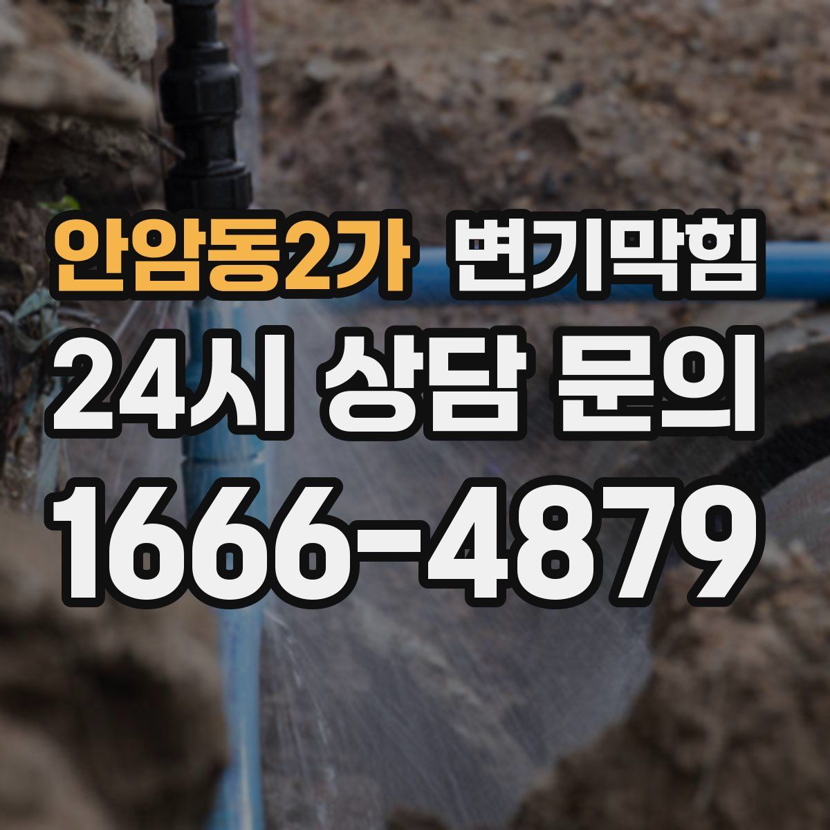 안암동2가 변기막힘