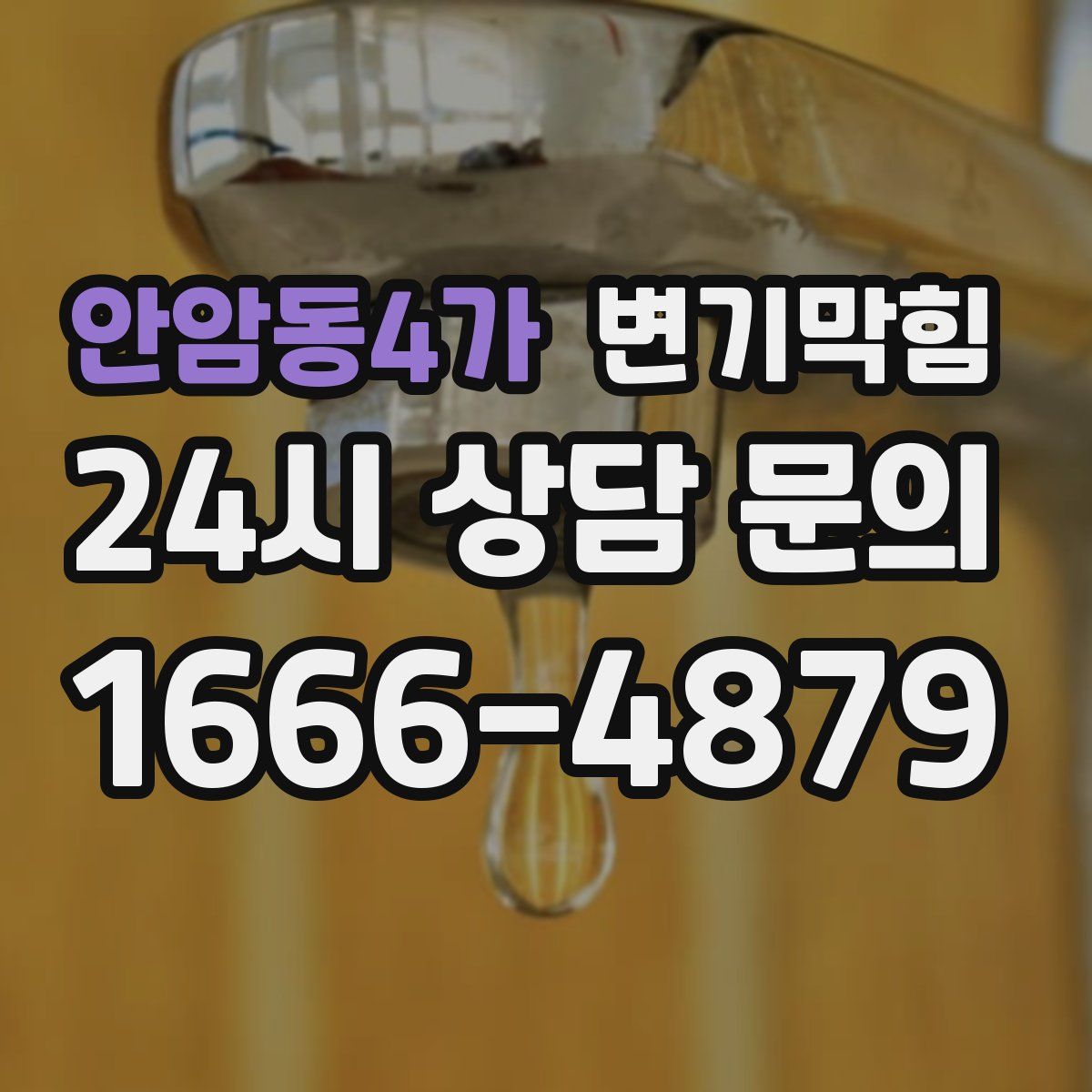 안암동4가 변기막힘