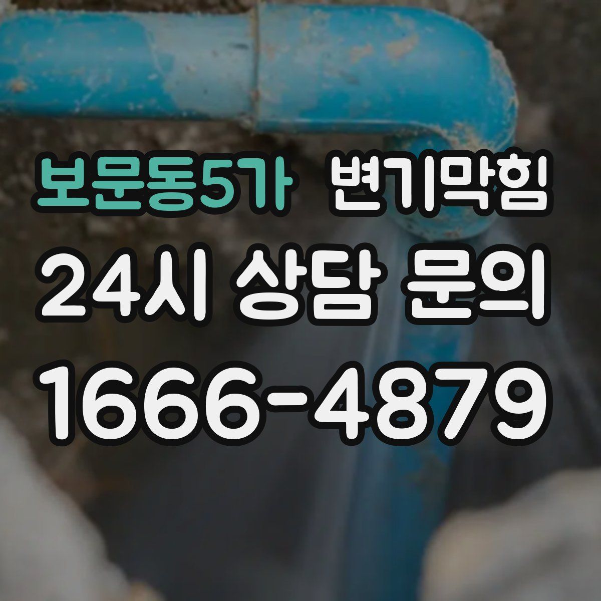 보문동5가 변기막힘