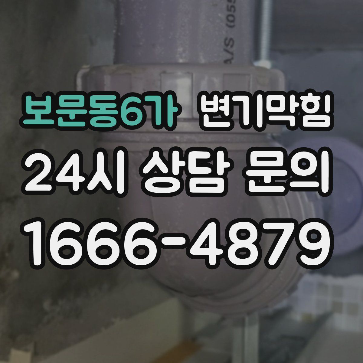보문동6가 변기막힘