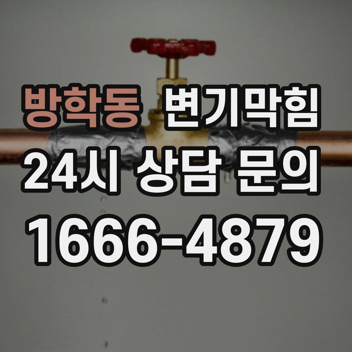 방학동 변기막힘 상가 배수구막힘 점심 피크 전 완료