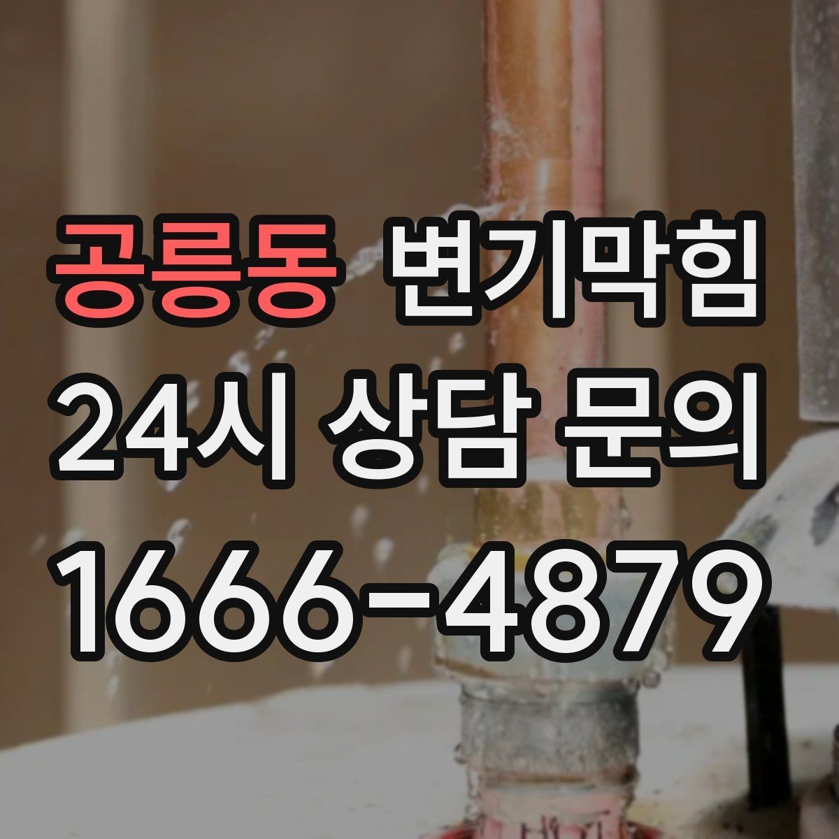 공릉동 변기막힘 미용실 변기뚫기 드라이존 보호